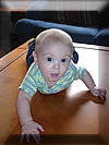 Ready to crawl...