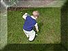 Easter Egg Hunting 2